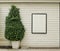 White window on white textured wooden wall, also a green tree on left.