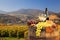 White wine with barrel on vineyard in Wachau, Spitz, Austria