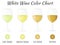 White wine color chart. Hand drawn wine glasses.
