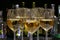 White wine. Elegant wine glasses with white wine on the background of a row of alcohol bottles