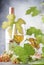 White wine glass and wine bottle on gray background with copy space