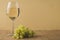 White wine and grape/wineglass with white wine and grape, copy space