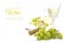 White wine, green grapes and cheese isolated on a white backgrou