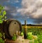 White wine still life with vineyard