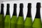 White Wines Bottles in Line, inside Green Glass