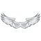 White Wings with clipping path