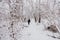 White winter forest landscape by a running child dressed in black by a narrow path