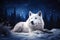 White Wolf Laying on the Snow with SnowFlakes