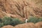 White woman walking on background of Todra gorge canyon landscape in Morocco