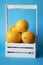 White wood basket full of lemons. Yellow citrus fruits on blue background