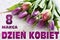 White wooden background with tulips and text in polish March 8th Womens Day