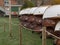 White wooden boats stored outdoors