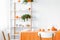 White wooden chairs at table in modern orange dining room interior with plants on shelves