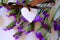 White wooden heart with brown silk bow on statice purple potpourri flowers on white background. Love concept. St. Valentine`s