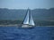 A white yacht under a black and white sail