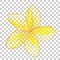 white and yellow Doodle Frangipani Flower, at transparent effect background