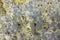 White yellow gray blue porous volcanic stone. rough natural texture surface