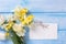 White and yellow narcissus and tulips flowers and empty tag o