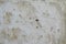 White and yellow stone wall of the historic 1700 - 1800 g texture