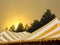 White and yellow stripe events tent at sunset