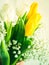 White and yellow tulips. Greeting card