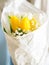 White and yellow tulips. Greeting card