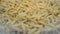 white, yellow worms helminth (maggot) closeup, random movement, exotic organic food,