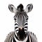 White Zebra Head A Calm And Meditative Idealism Design