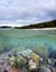 Whitehaven beach and living coral reef