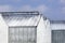 Whitened greenhouses