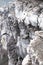 Whitened stones on a cliff volcano Masaya