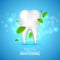 Whitening tooth ads, with mint leaves on blue background. Green mint leaves clean fresh concept. Teeth health