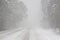 Whiteout driving conditions