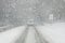 Whiteout driving conditions