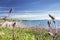 Whitesands Beach at Bright Summer Day