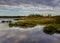 Whitesbog Pine Barrens, New Jersey