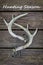 Whitetail deer antlers for rattling antlers with Hunting Season text.
