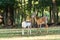 Whitetail Deer Doe and Fawn