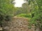 Whitetop Laurel Creek during Severe Drought