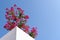Whitewashed building with bougainvillea flowers