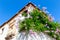 A whitewashed house with abundance of potted cascading pink flowers on the balcony Zimbabwe Creeper - Podranea ricasoliana in Gr