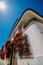 Whitewashed house in Cascais, Portugal covered in colourful bougainvillea