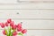 Whitewashed Pine Wall Background With Tulips Added