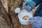 Whitewashing of fruit trees in spring garden. Human hands in gloves holding brush and whitewash bucket close-up. Man gardener