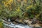 Whitewater at Dukes creek Georgia