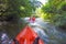 A whitewater kayaker while wave on the river in Satun province,