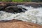 Whitewater at the Murchison Falls
