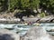 Whitewater rafting on the rapids.