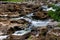 Whitewater Rapids Rush over Rocks