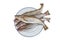 Whiting or food fish Merlangius or whithing fild on a plate on white background